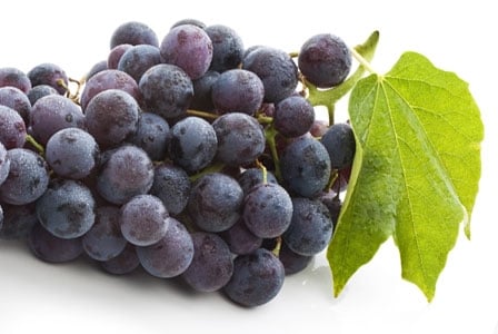 Reach for Resveratrol
