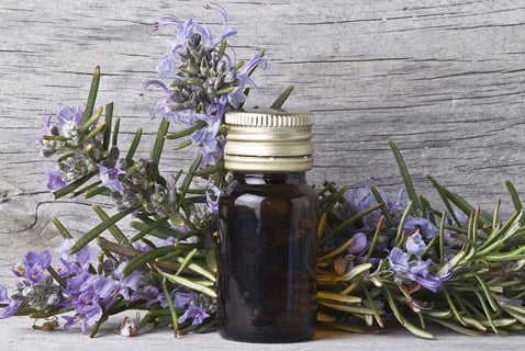 A Little Whiff Will Do Ya: Rosemary Oil May Help Boost Brain Power
