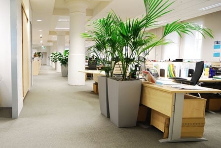 How\'s the Indoor Air Quality at Your Office?
