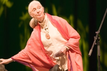 Wildlife Wednesday: Jane Goodall Sows Seeds of Hope
