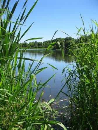 Surrey Lake Park