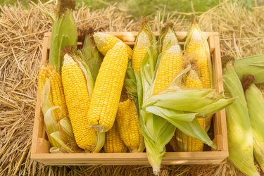 10 Brilliant Hacks for Cooking Corn on the Cob